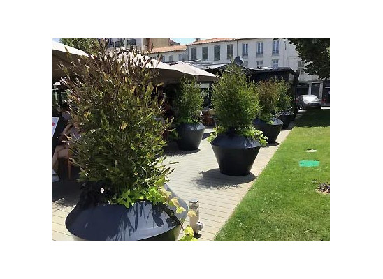 Pot de fleur en plastique